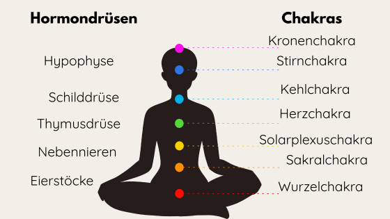 Chakras und Hormondrüsen